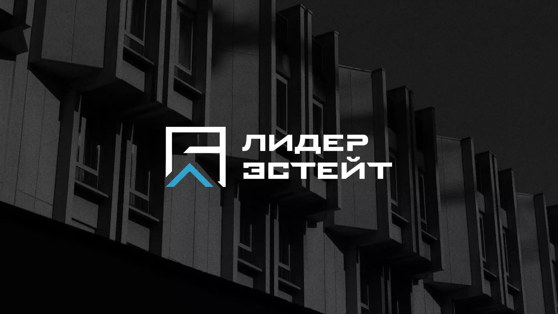 Разработка логотипа агентства недвижимости «Лидер Эстейт» в Климовске