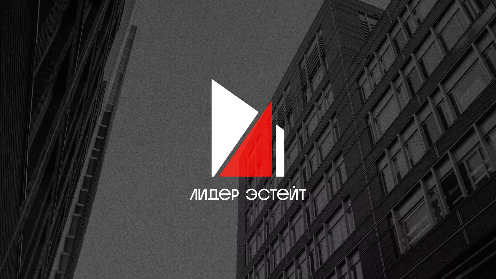 Сделали логотип для агентства недвижимости «Лидер Эстейт» в Климовске